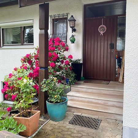 Ferienwohnung Panorama 西格马尔斯策尔 外观 照片